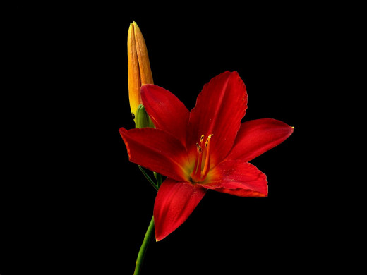 429929 (a): :1600x1200